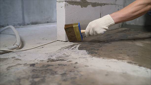 24/7 Emergency Exterior Waterproofing experts in Clear Brook, VA